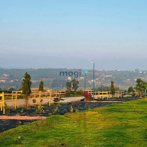 Hình ảnh Đất 100% Sổ Hồng Diện Tích 1,106m2 Tại Đan Phượng, Lâm Hà