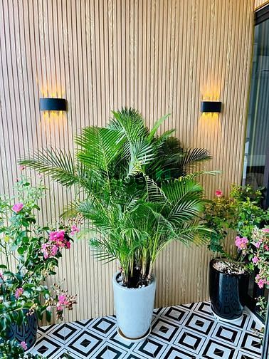 Hình ảnh 🌟Bán Gấp DUPLEX CT2 Ecogreen City 155M2- 3pn- NT cao cấp chỉ 6,55tỷ🌟