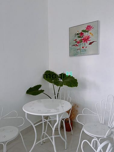 Hình ảnh Đất 100% Sổ Hồng Diện Tích 1,106m2 Tại Đan Phượng, Lâm Hà