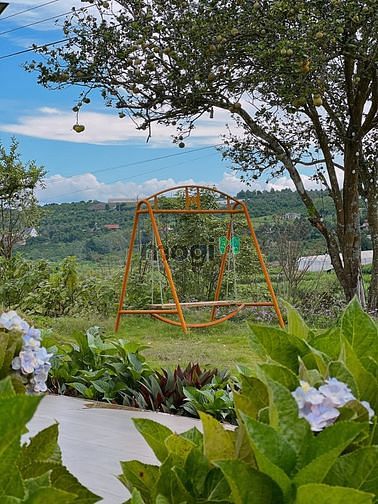 Hình ảnh Đất 100% Sổ Hồng Diện Tích 1,106m2 Tại Đan Phượng, Lâm Hà