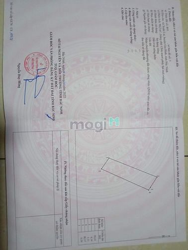 Hình ảnh Đất rẻ làng nghề mây tre đan Xuân Lai, huyện Gia Bình, Bắc Ninh