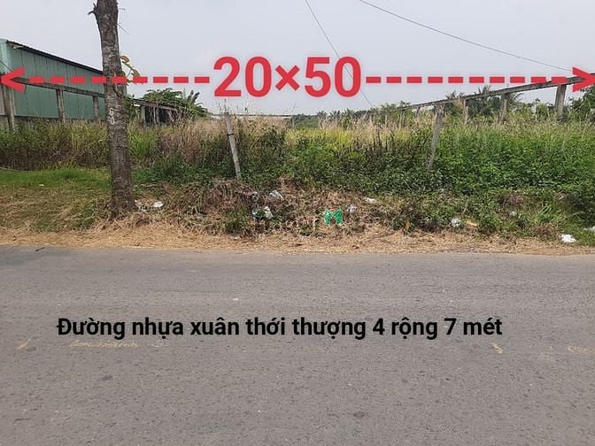 Hình ảnh ĐẤT ĐẸP full thổ 20X50M mặt tiền NHựa Xuân Thới Thượng, Phan Văn Hớn