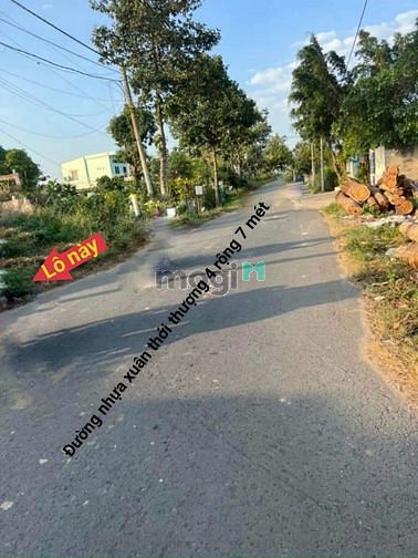 Hình ảnh ĐẤT ĐẸP full thổ 20X50M mặt tiền NHựa Xuân Thới Thượng, Phan Văn Hớn