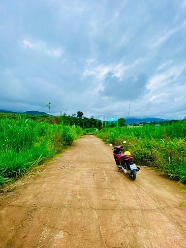 Hình ảnh Bán đất Nam Ban, Lâm Hà giá 3tr5/m2, có sổ sẳn