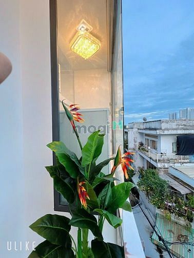 Hình ảnh Mb6623 nạp rút nhanh chóng cao cấp mới xây full nội thất Dương Bá Trạc Q8