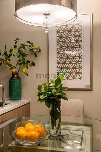 Hình ảnh Cho thuê Trang Chủ MB66.COM / Đăng Ký Tặng 66K cao cấp 2PN full nt dự án Empire City Thủ Thiêm