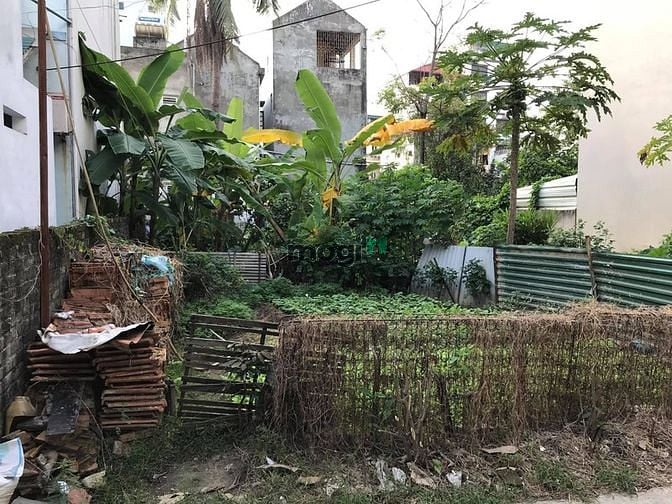 Hình ảnh Bán đất thổ cư 100% xã Tráng Việt, Mê Linh