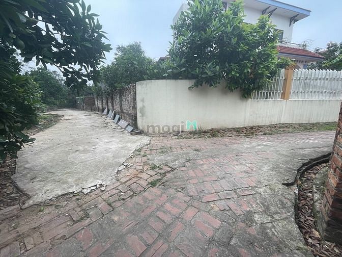 Hình ảnh Đất chính chủ full thổ cư tại Xuân Canh Đông Anh