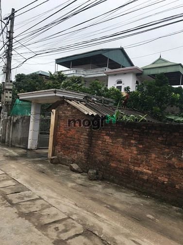 Hình ảnh Bán đất FULL thổ cư xã Tráng Việt, Mê Linh, Hà Nội