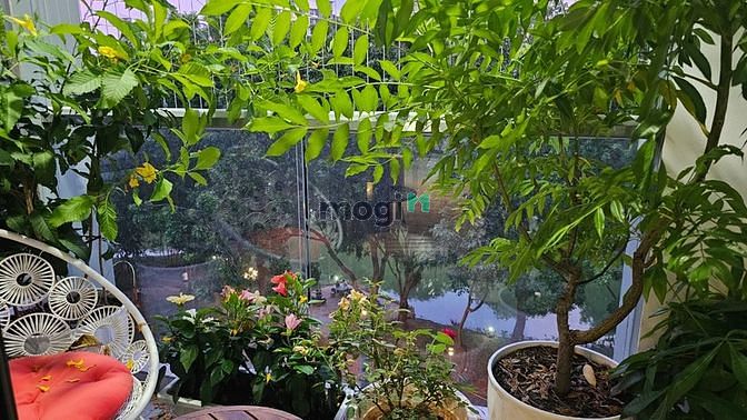 Hình ảnh Chuyên cho thuê Trang Chủ MB66.COM / Đăng Ký Tặng 66K Celadon City Q.Tân Phú, khu Diamond-Emerald