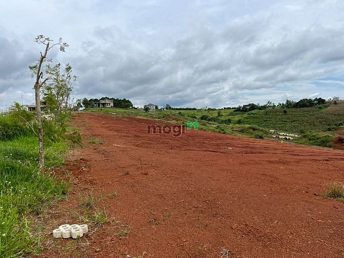 Hình ảnh Đón đầu cao tốc đất full thổ cư sổ sẵn ở ngay trung tâm thành phố