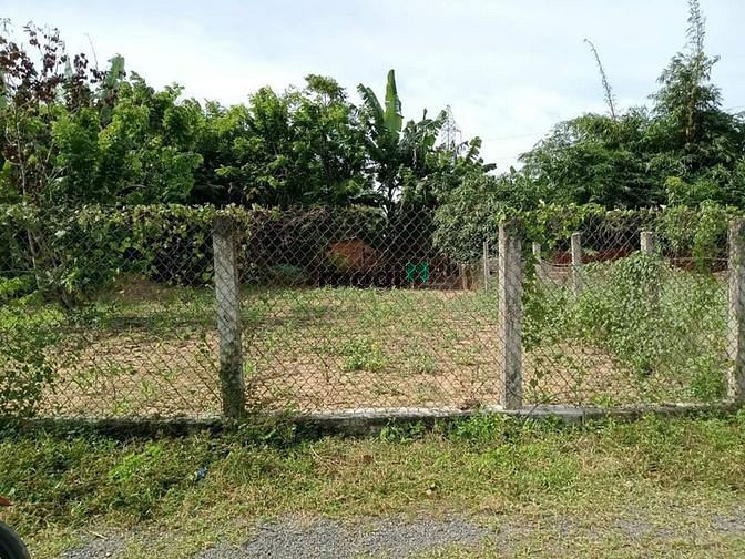 Hình ảnh Cần Bán Lô Đất Đẹp mặt tiền đường 8m Tân Quang, Ninh Quang, Ninh Hòa.