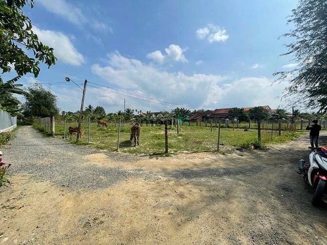 Hình ảnh Cần Bán Lô Đất Đẹp mặt tiền đường 8m Tân Quang, Ninh Quang, Ninh Hòa.