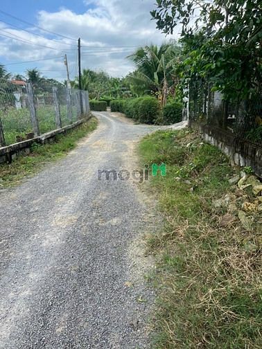Hình ảnh Cần Bán Lô Đất Đẹp mặt tiền đường 8m Tân Quang, Ninh Quang, Ninh Hòa.