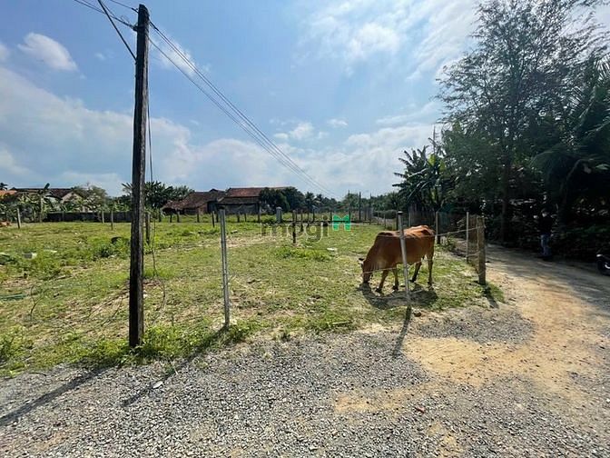 Hình ảnh Cần Bán Lô Đất Đẹp mặt tiền đường 8m Tân Quang, Ninh Quang, Ninh Hòa.
