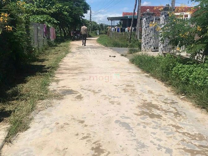 Hình ảnh Cần Bán Lô Đất Đẹp mặt tiền đường 8m Tân Quang, Ninh Quang, Ninh Hòa.