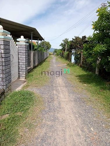 Hình ảnh Cần Bán Lô Đất Đẹp mặt tiền đường 8m Tân Quang, Ninh Quang, Ninh Hòa.