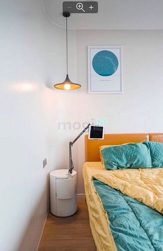 Hình ảnh cho thuê Trang Chủ MB66.COM / Đăng Ký Tặng 66K chung cư Q2, 2pn, full, 21tr bao phí, Feliz en Vista