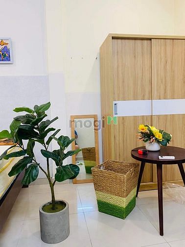 Hình ảnh Mb6623 nạp rút nhanh chóng Studio full nội thất Tôn Đản Q4 cho nuôi pet