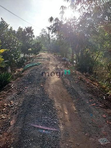 Hình ảnh Bán Đất Vườn xã mỹ an huyện mang thít
