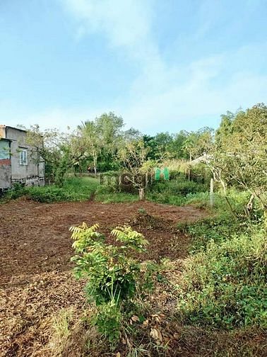 Hình ảnh Bán Đất Vườn xã mỹ an huyện mang thít