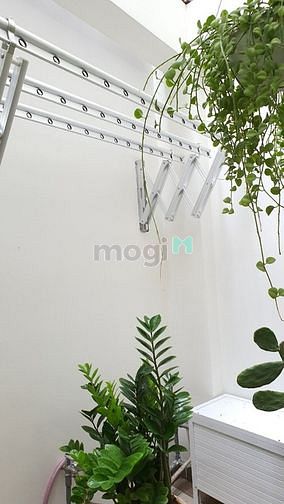 Hình ảnh STUDIO SIÊU RỘNG Thiết Kế ĐỘC LẠ FREE Phí Cam Kết Hình Thật Giá Thật
