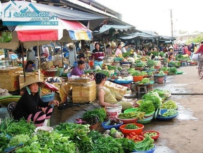 Hình ảnh Chị vân chủ đất bán không qua môi giới 290m2, mặt tiền 20m thông dài