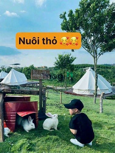 Hình ảnh Còn vài lô chủ ngộp cần oxi gấpp