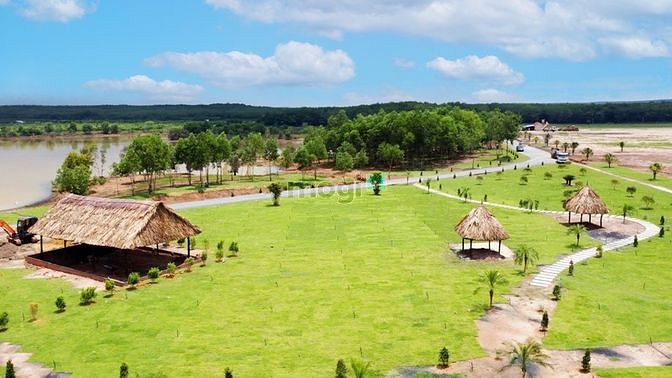 Hình ảnh Còn vài lô chủ ngộp cần oxi gấpp