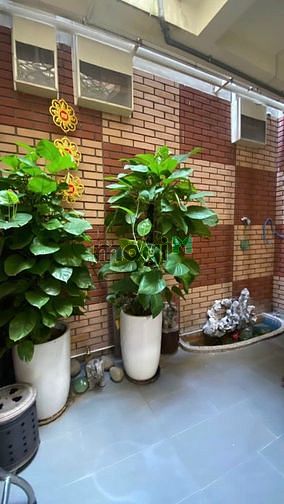 Hình ảnh Cho thuê nhà hẻm xe tải an ninh tại Quận Tân Bình.