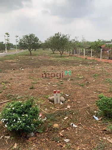 Hình ảnh Cần bán 120m2 đất thổ cư Long Khánhgần Ngã 3 Dầu Giây giá 750 triệu