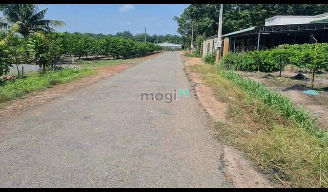 Hình ảnh Đất Tây Ninh SHR 300 triệu 150m2 bao công chứng