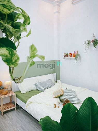 Hình ảnh Cho thuê CHDV 2PN bancon cửa sổ lớn full nội thất Hoàng Diệu Q4