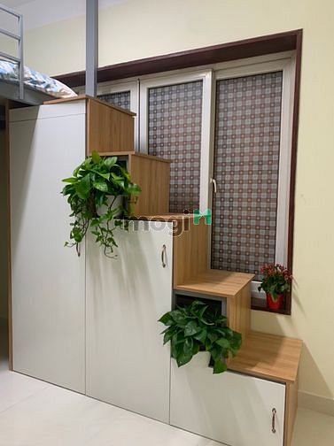 Hình ảnh CHDV duplex mới ngay Ngã Tư Hàng Xanh