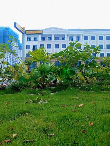 Hình ảnh ĐẠI LỘ DANH VỌNG THUỘC VINHOMES GRAND PARK💝 - 346 m2 đất hoàn thiện