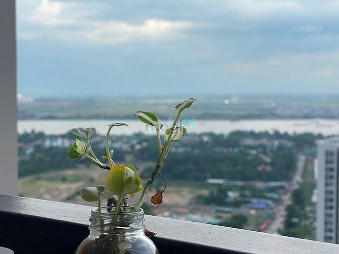 Hình ảnh 🔥Cho Hộ View Sông 2PN2WC Căn Hộ Full Nội Thất Đông Nam Gió Mát