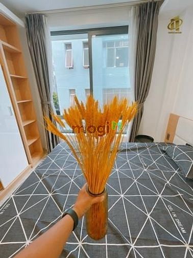 Hình ảnh CHDV Đa Kao Quận 1 full nội thất tách bếp ban công
