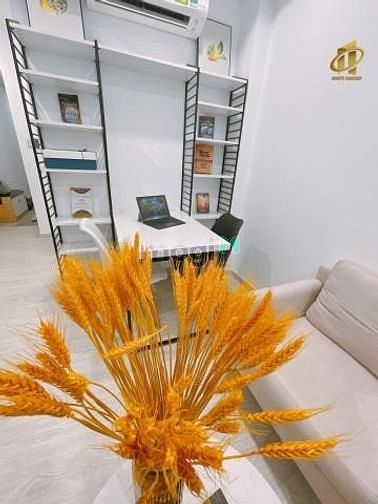 Hình ảnh CHDV Đa Kao Quận 1 full nội thất tách bếp ban công