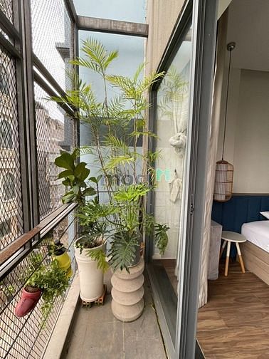 Hình ảnh 🌈🌈CC Mini 1PN_50m2_Siêu Đẹp_Ban Công_Q3_Đầy Đủ Nội Thất🌈🌈