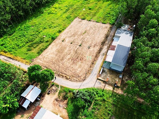 Hình ảnh Tôi cần bán lô đất ngang 5m ở Thạnh Đức, Gò Dầu, Tây Ninh
