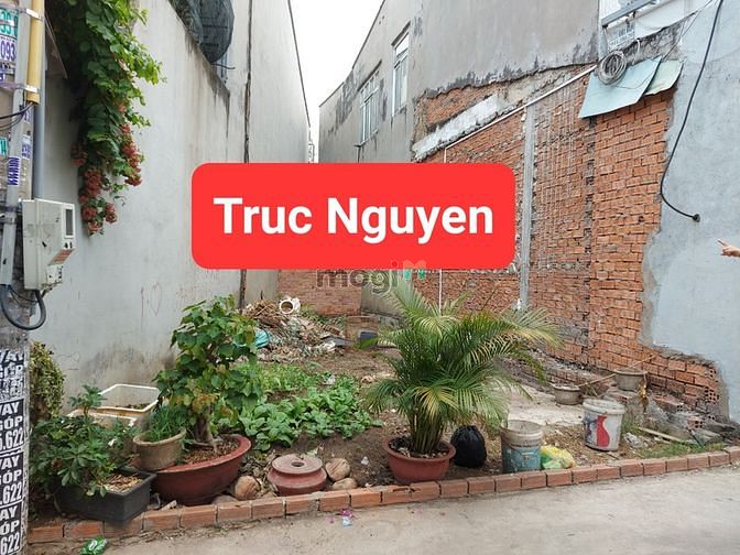 Hình ảnh Cần tiền bán gấp đất Phường Tam Hiệp