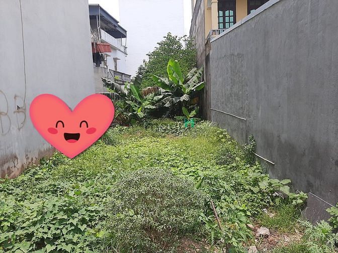Hình ảnh BÁN GẤP 💥96M ĐẤT 💥ĐÊ GIANG BIÊN 💥 đường3 ô tô tránh,vỉa hè siêurộng