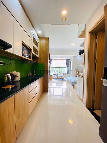 Hình ảnh Cho thuê Giá 11 triệu căn Studio có nội thất  ở dự án Botanica Premier