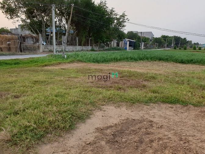 Hình ảnh 300tr /165m2 có ngay đất tây ninh 100% full thổ đất ngộp