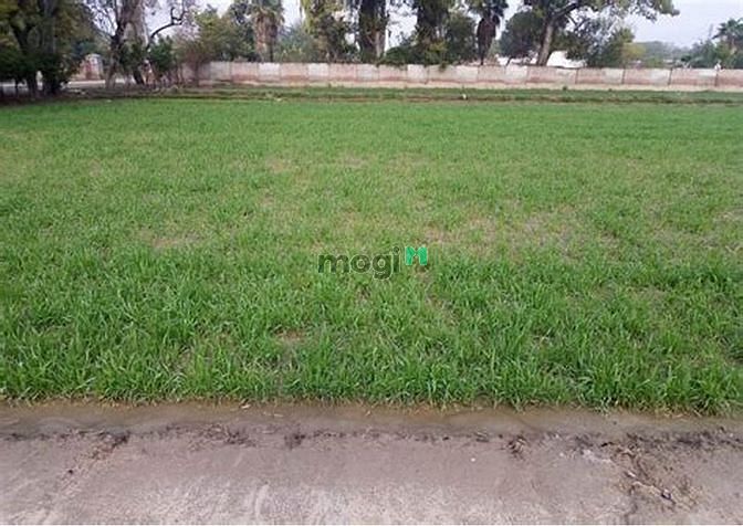 Hình ảnh 300tr /165m2 có ngay đất tây ninh 100% full thổ đất ngộp