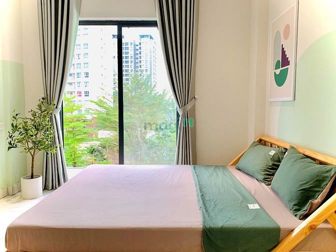 Hình ảnh 1 căn Studio full nội thất cửa kính siêu đẹp - được nuôi mèo