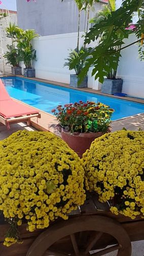 Hình ảnh cho thuê biệt thự khu nam việt á