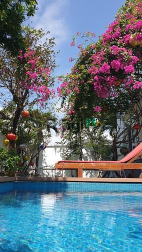 Hình ảnh cho thuê biệt thự khu nam việt á