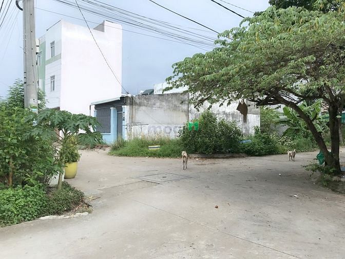 Hình ảnh Bán Đất Quận 9 - Mặt Tiền Đường Nhựa 8M - 52m2 - FULL THỔ CƯ - XDTD