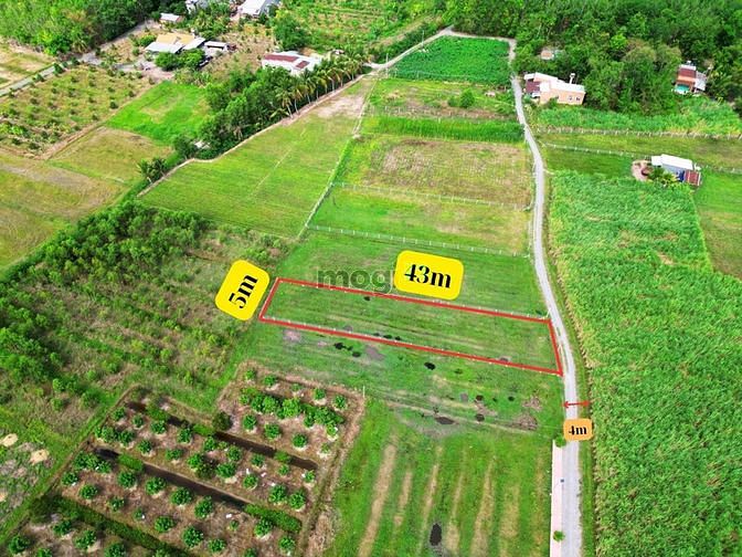 Hình ảnh Bán đất hỗ trợ vay giá 802tr, dt:5x43m Ấp rộc B, Thạnh Đức, Tây Ninh